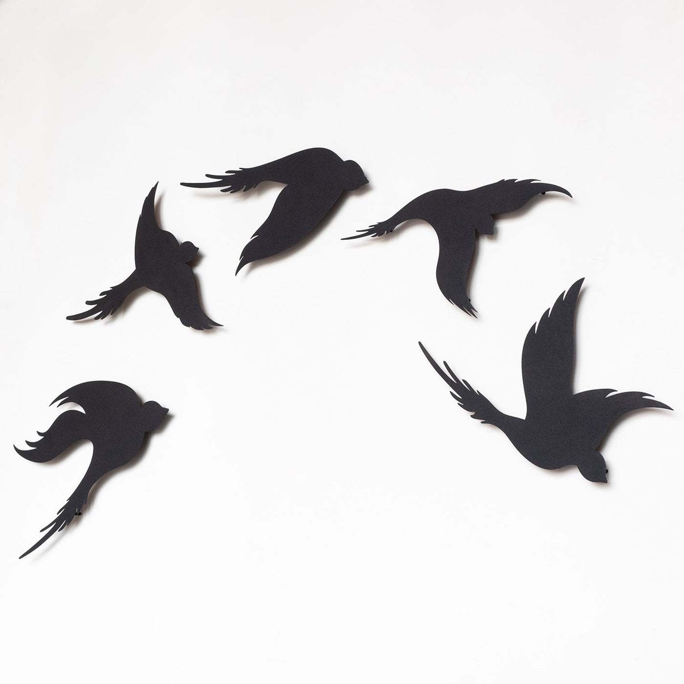 Birds Set of 5